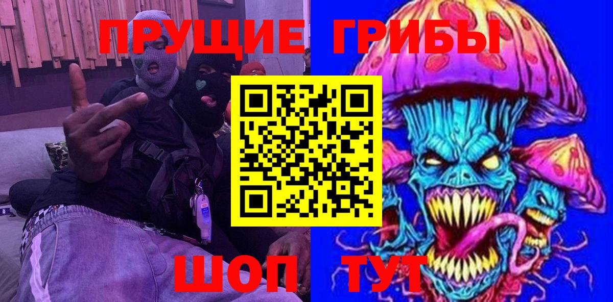 Псилоцибиновые грибы Psilocybine cubensis Саров
