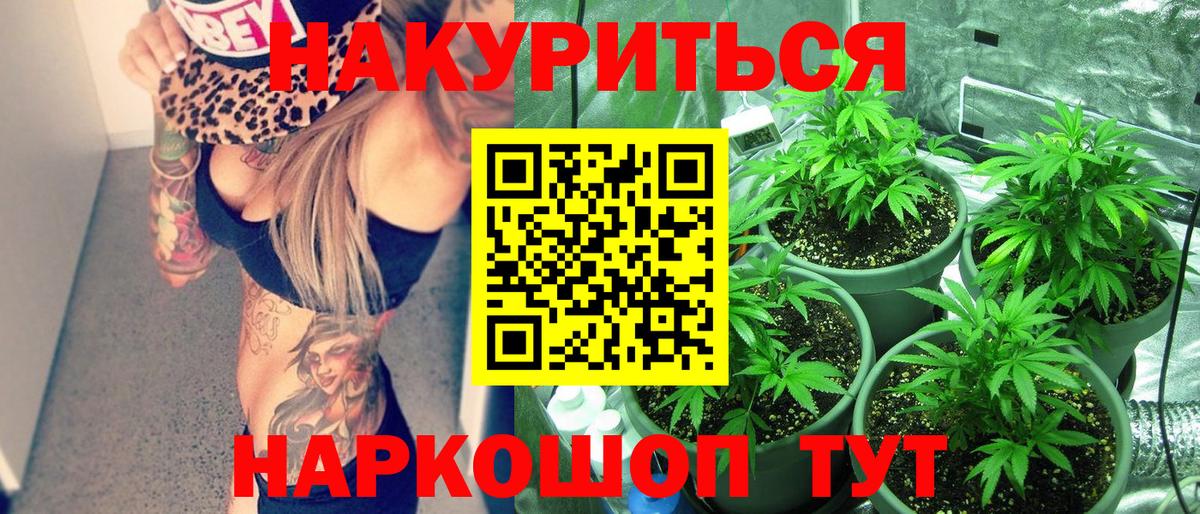 Канабис индика  Канабис White Widow  Марихуана сатива  Саров  Вход с VPN 